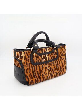 Celine Seri Pattern Handbag